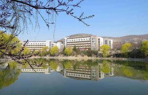 山东艺术学院2020年承认美术统考省份