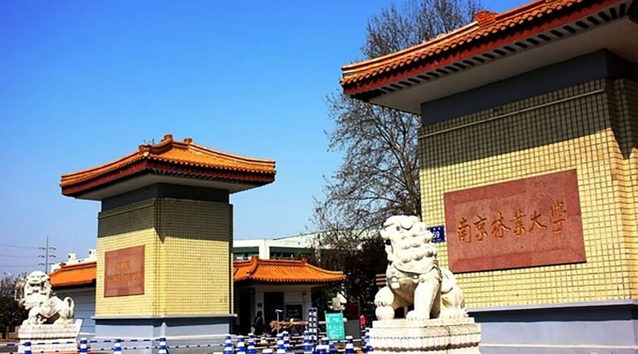 南京林业大学2020年承认各省美术联考成绩！