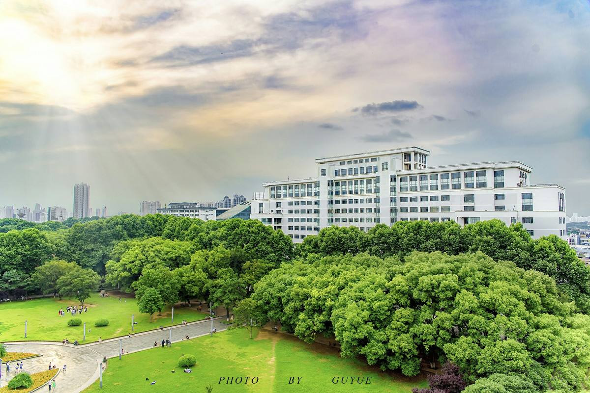 华中师范大学2020年承认各省美术联考成绩！