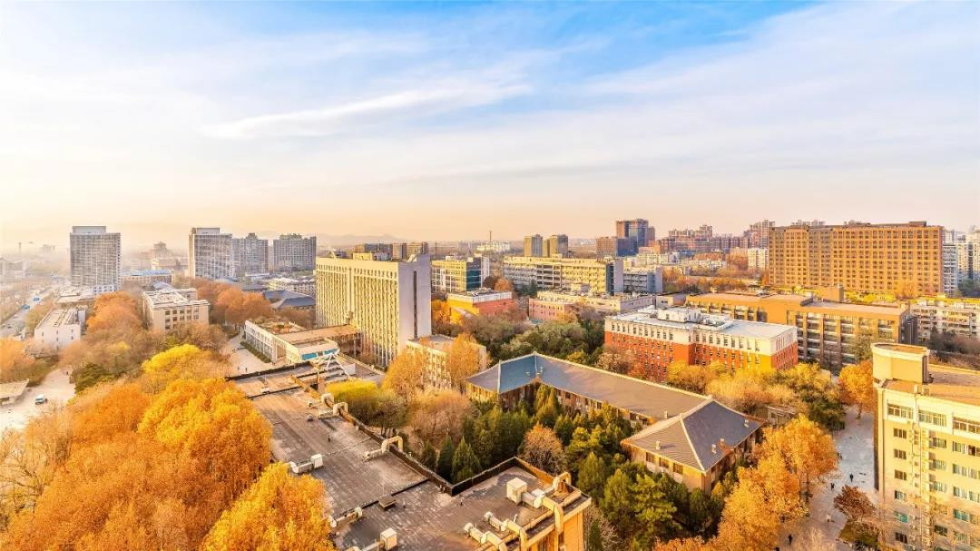 北京林业大学2020年设计学类本科专业录取分数线
