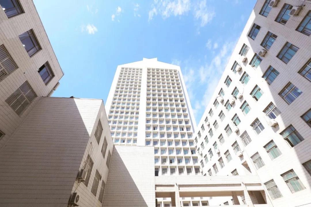西安美术学院2020年艺术类提前批录取分数线！