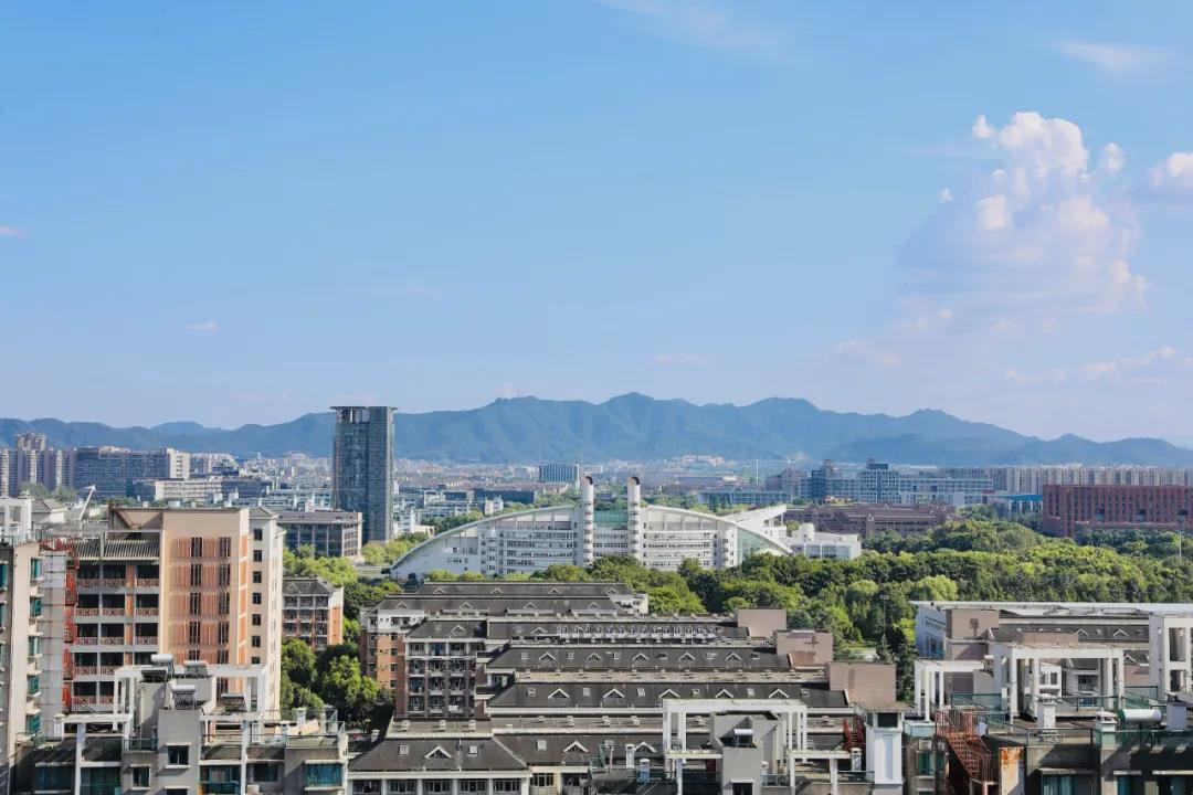 2020年浙江省艺术类志愿如何填报？