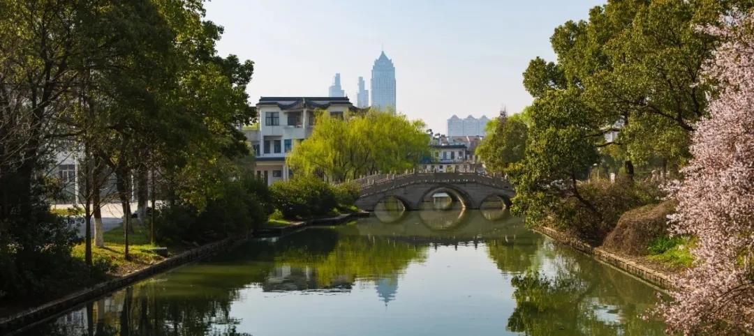 苏州科技大学2020年采用各省统考成绩！