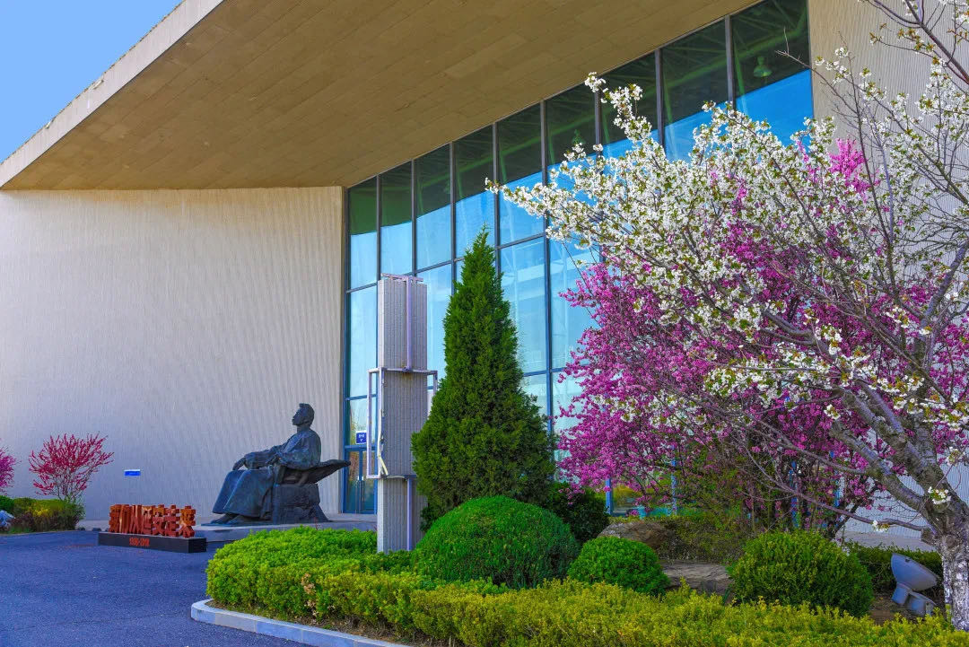 鲁迅美术学院2020年本科招生专业（或专业方向）分配原则