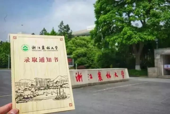 浙江农林大学2020年艺术类各省各专业录取分数线