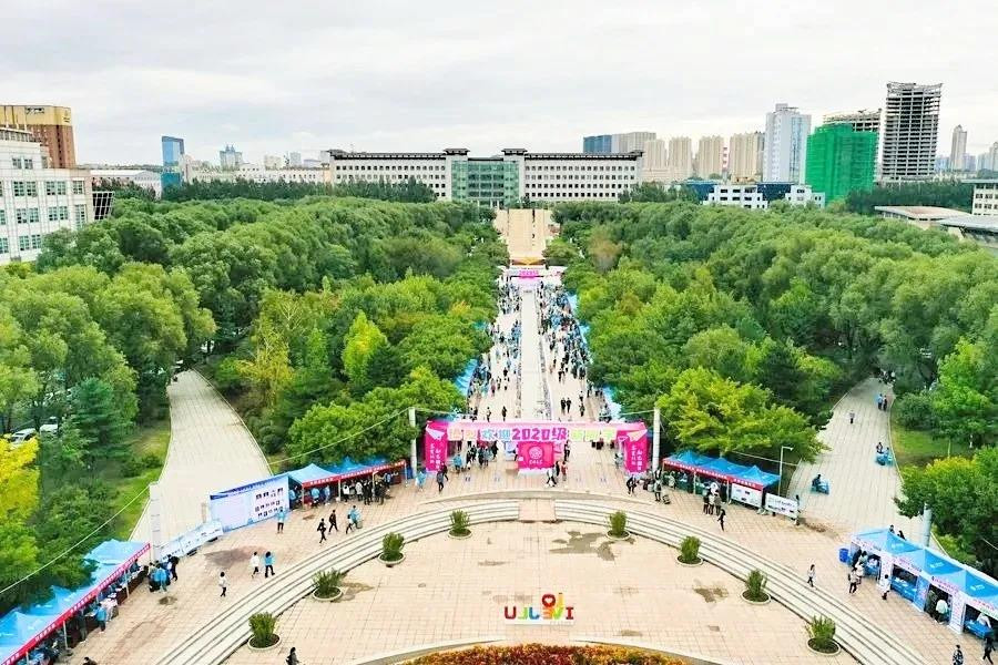 吉林大学2020年艺术类专业各省录取分数线