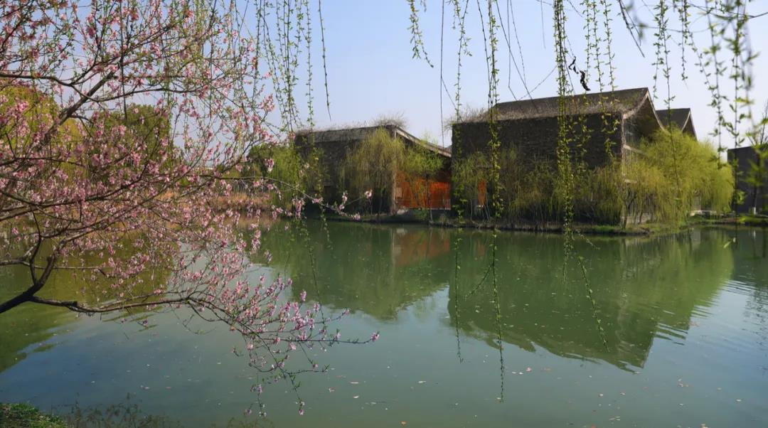 2020年中国美术学院校考人数大幅减少