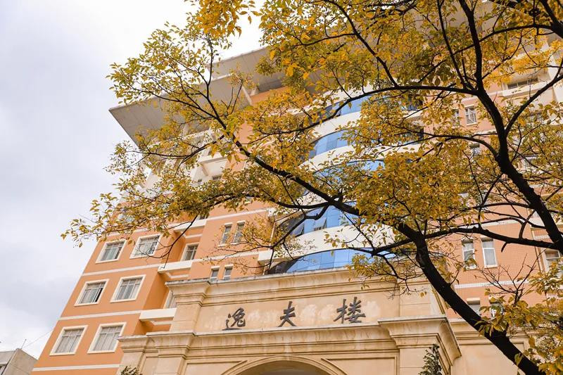 云南省2021年美术联考时间为12月6日