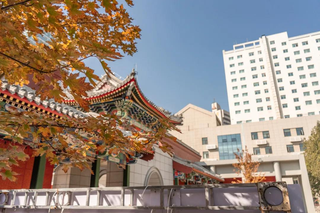 甘肃省2021年美术类专业统考工作通知