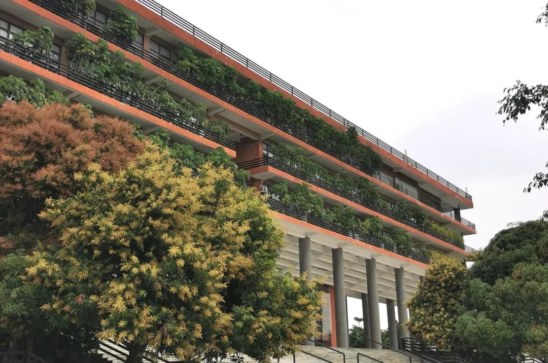 广州美术学院2021年“美术类”“设计类”专业志愿填报办法