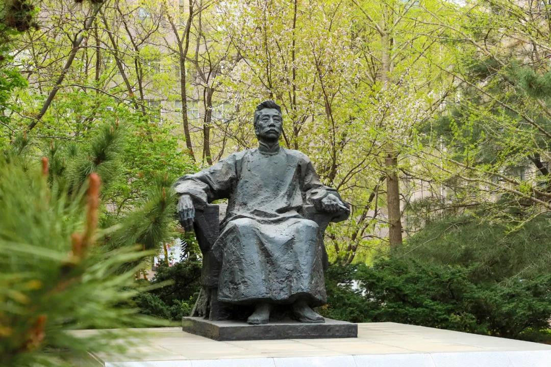 ​鲁迅美术学院2021年本科招生录取分数线