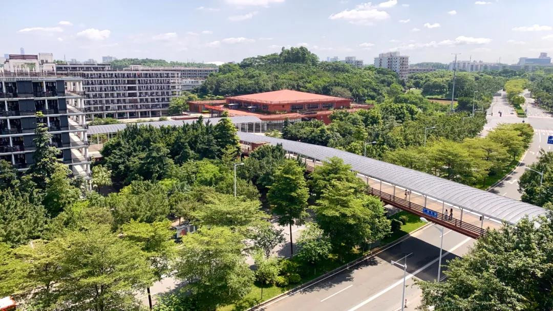 广东省2022年美术联考时间为12月4日（附考试科目和要求）