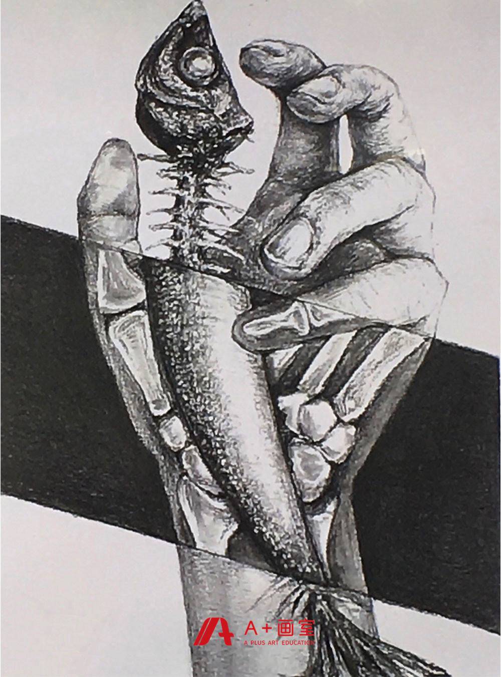 北京A+画室校考考前基础作品