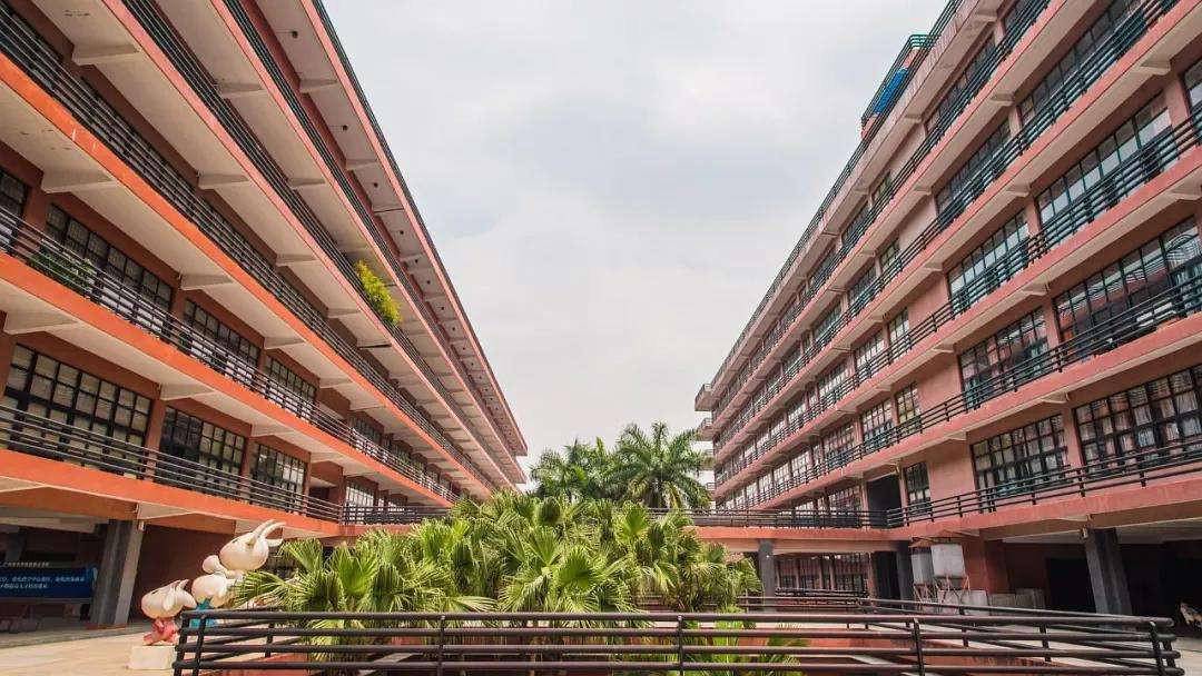 广州美术学院2020年招生共计1185人