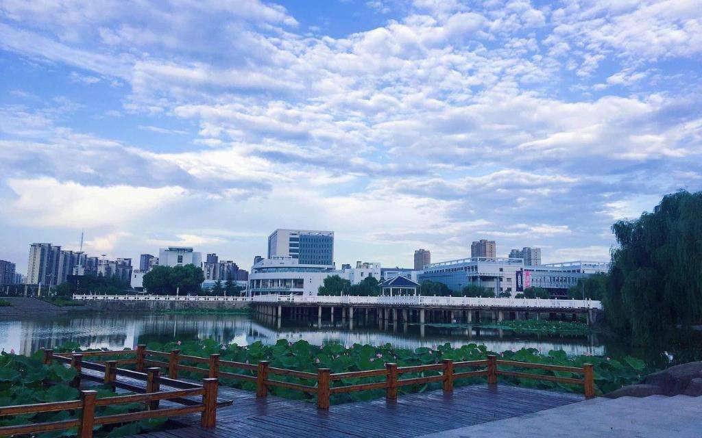 安徽大学2020年美术类本科专业招生简章录取规则！