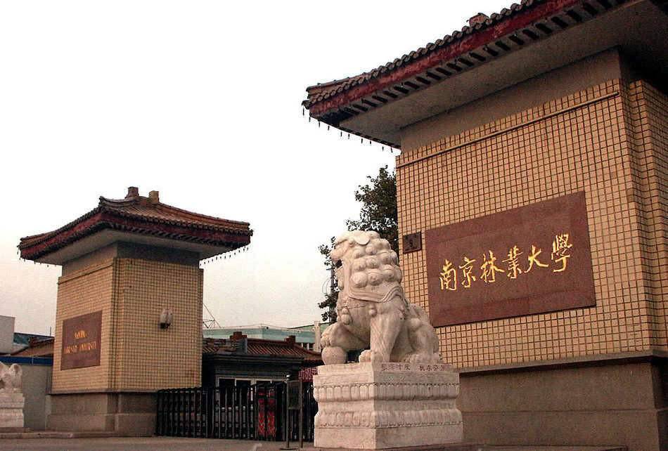 南京林业大学2020年美术类本科专业录取原则