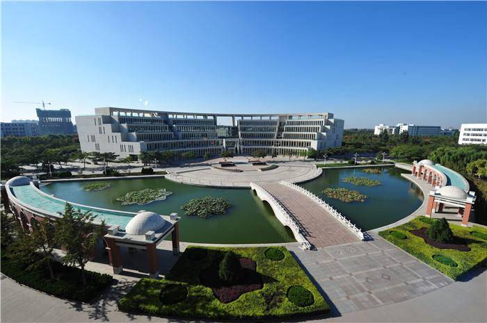 艺术类考生志愿填报及投档录取要求的是什么