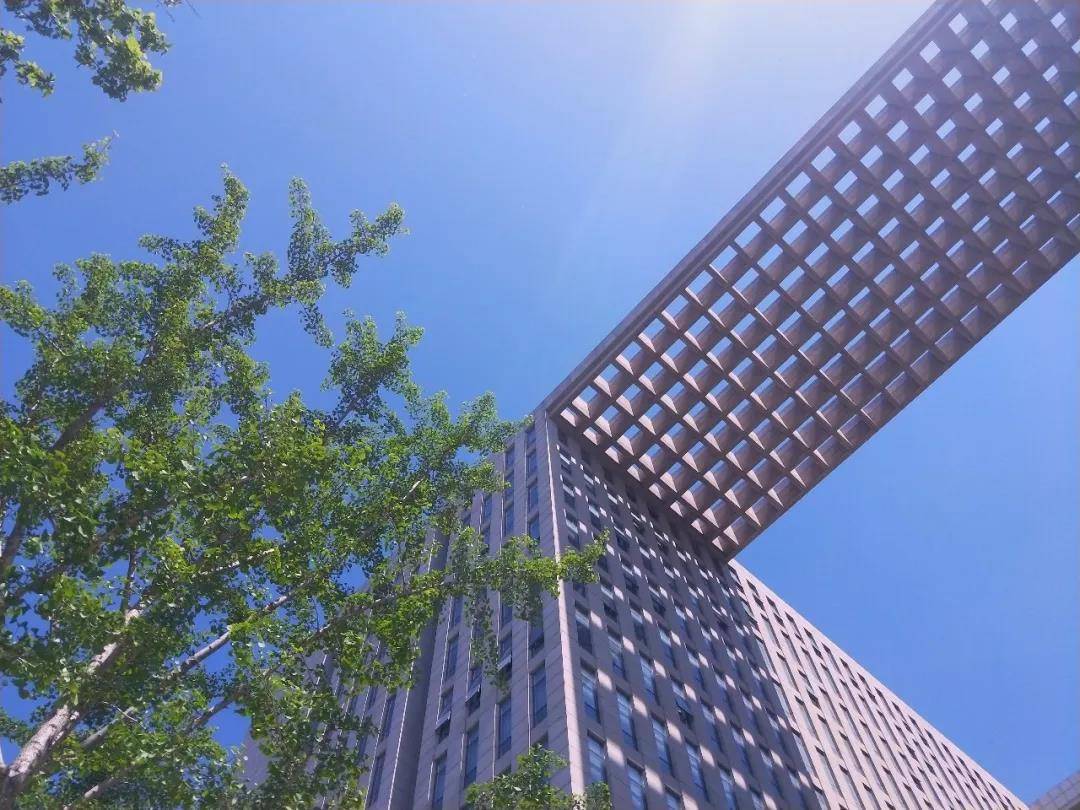北京林业大学2020年艺术类本科专业录取规则