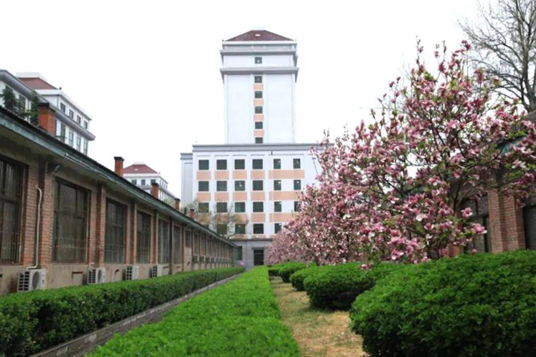 中央财经大学2020年书法学专业录取办法