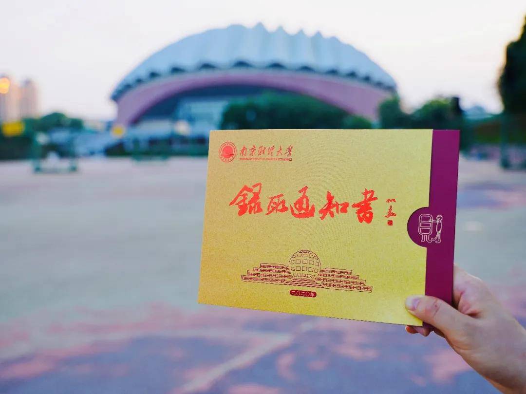 南京财经大学2020年使用美术类综合分录取