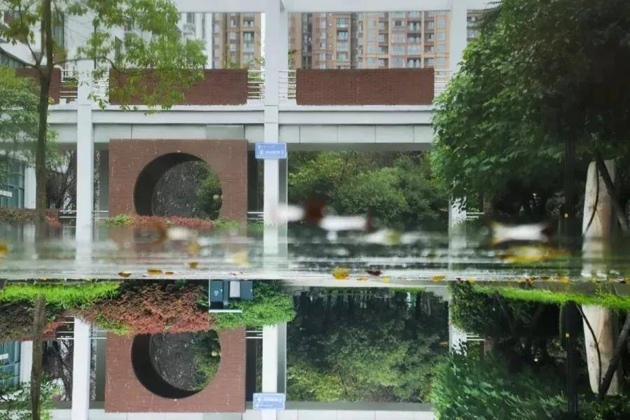 四川省艺术类第二次征集志愿时间和志愿填报注意事项