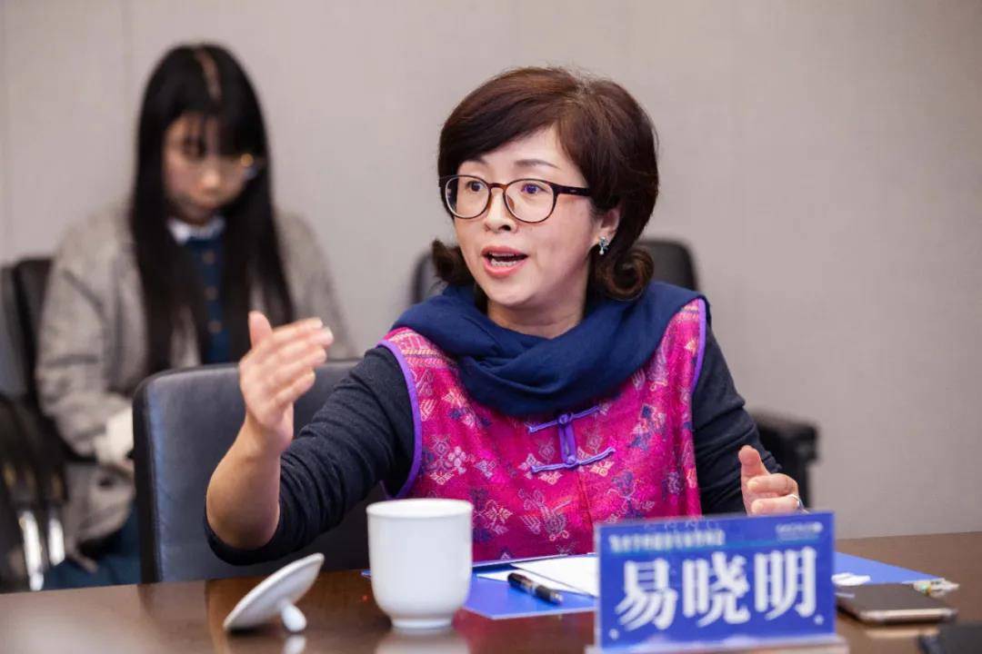南京师范大学教育科学学院教授、美育学专业博士生导师易晓明在中央美术学院召开的美育学科建设专家咨询会上发言