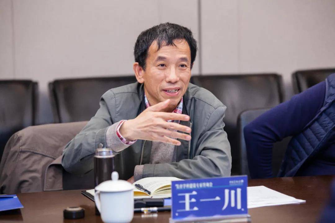 国务院学位委员会艺术学理论学科评议组召集人、中国文艺评论家协会副主席王一川在中央美术学院召开的美育学科建设专家咨询会上发言