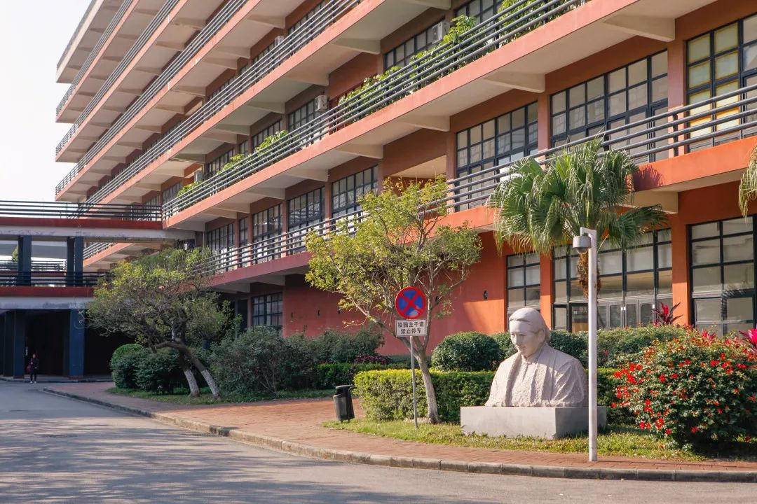 广州美术学院2020年录取分数线