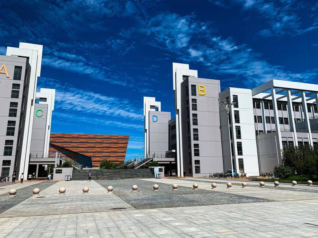 天津市2020年高考本科征询志愿最低分数线 天津市2020年高考本科征询志愿最低分数线