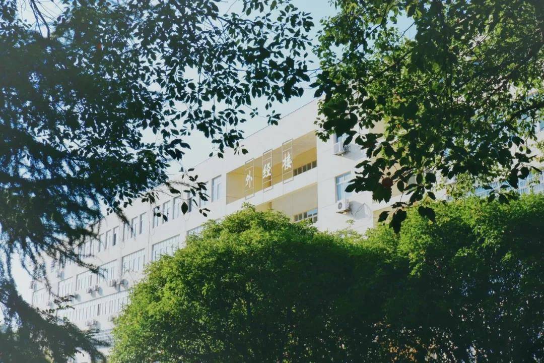 针对江西联的画室  北京画室哪家好  北京画室排名前十位