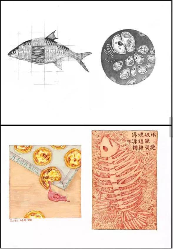 中央美术学院高分卷