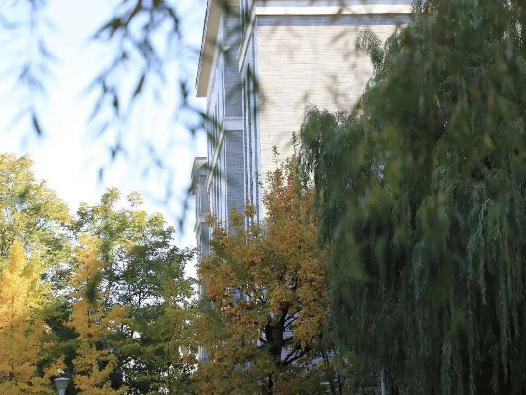 艺术类考生高考报名工作按照《关于2021年辽宁省普通高等学校招生统一考试报名工作的通知》(辽招考委字〔2020〕40号)执行。