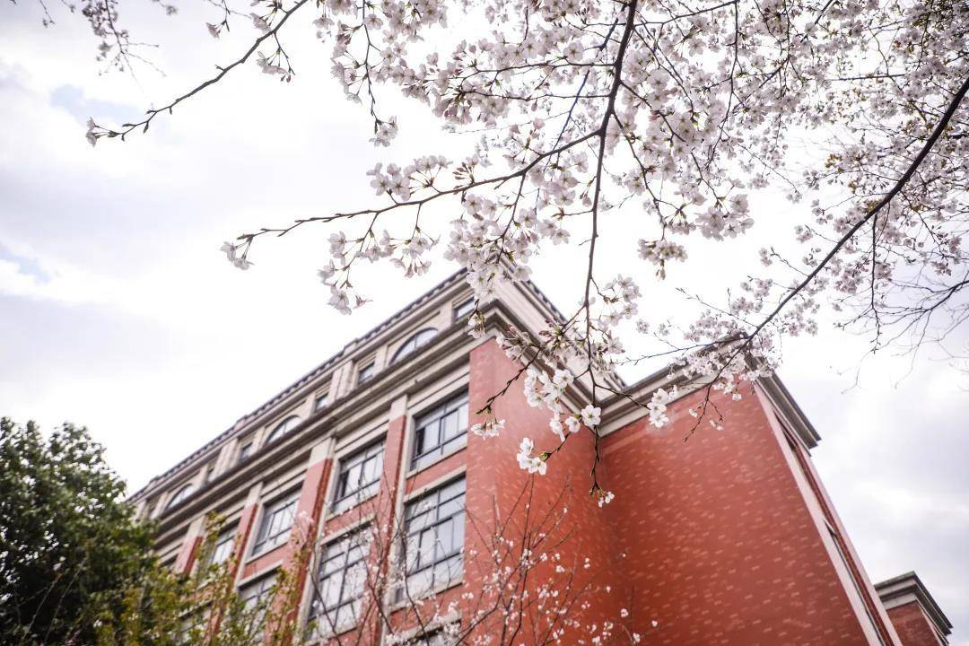 报考上海理工大学艺术类专业的考生，专业成绩均采用当地省级美术类（或相关）专业统考成绩，我校不另行单独组织美术类专业考试。