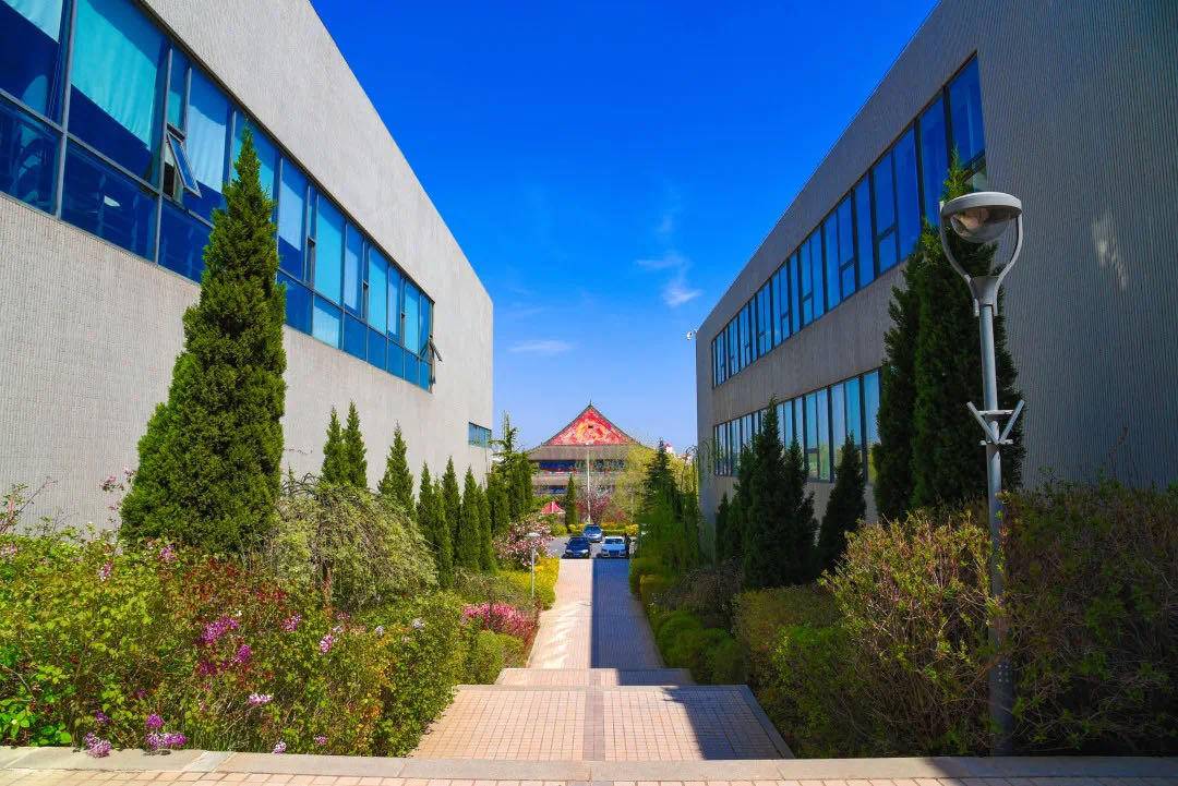 鲁迅美术学院2021年报名方式和流程