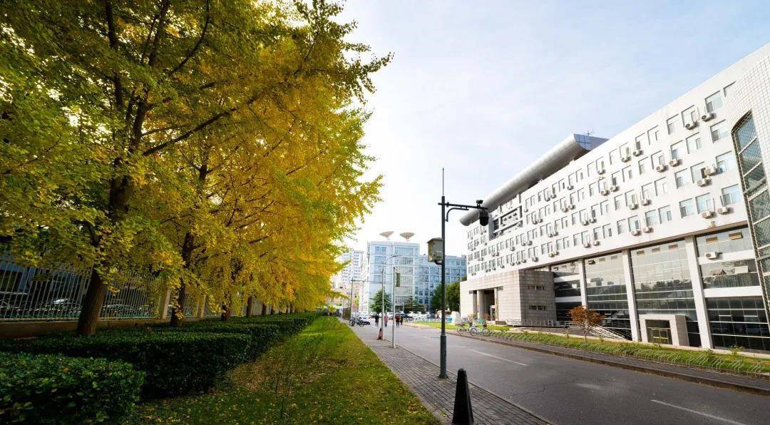 首都师范大学2021年在京外艺术类专业考试方案，美术没专业不组织校考。