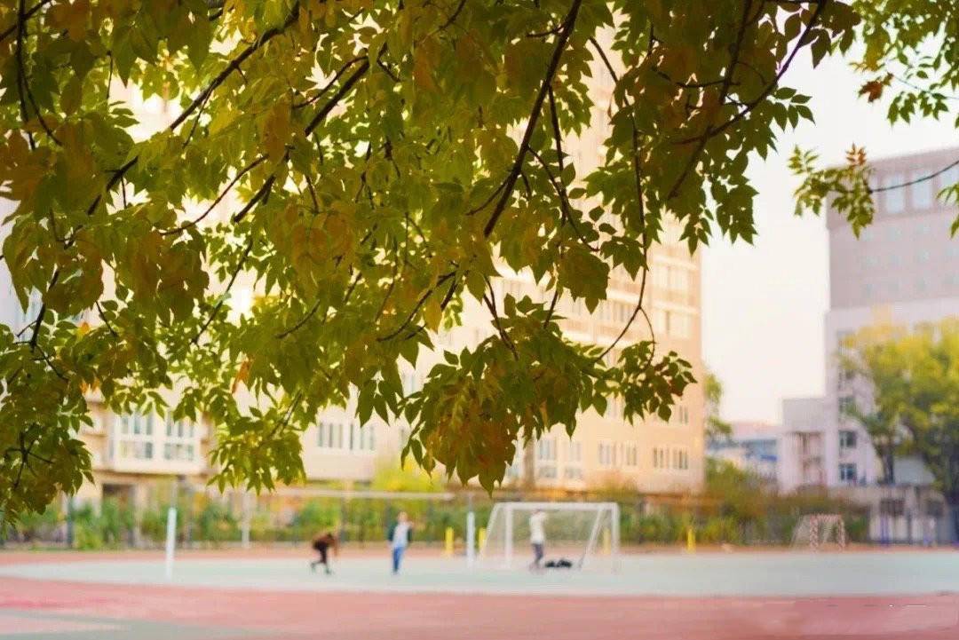 针对北电的画室 针对北影画室