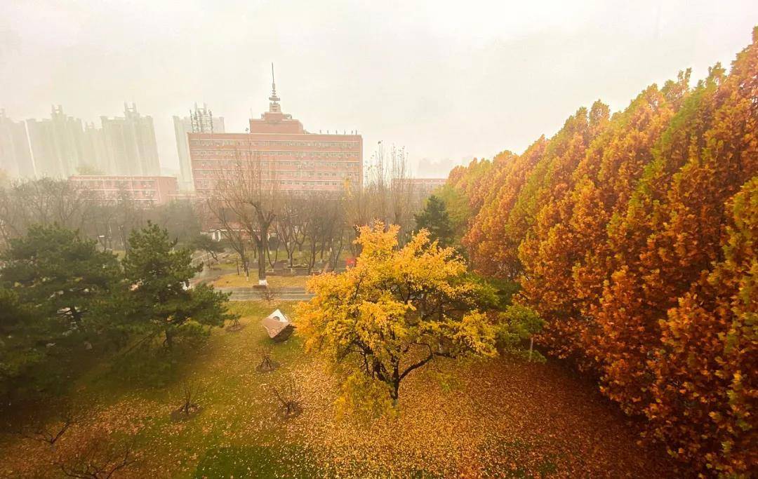 北京画室哪家好  北京画室排名前十位 北京小班画室