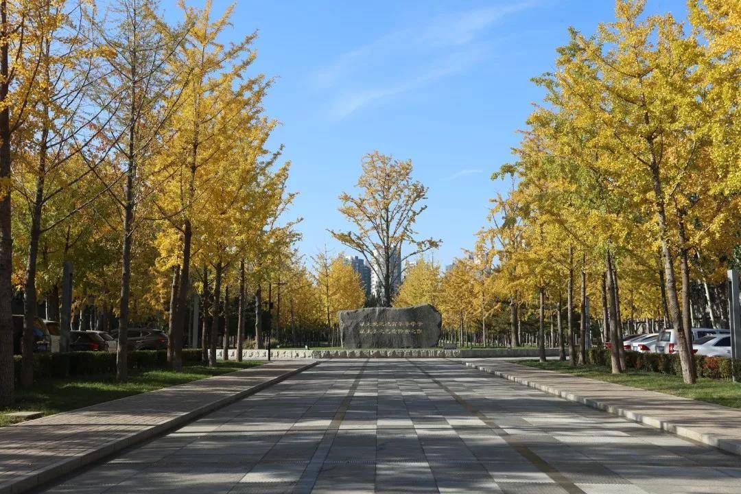 针对央美的画室  央美升学率高的画室  北京小班画室