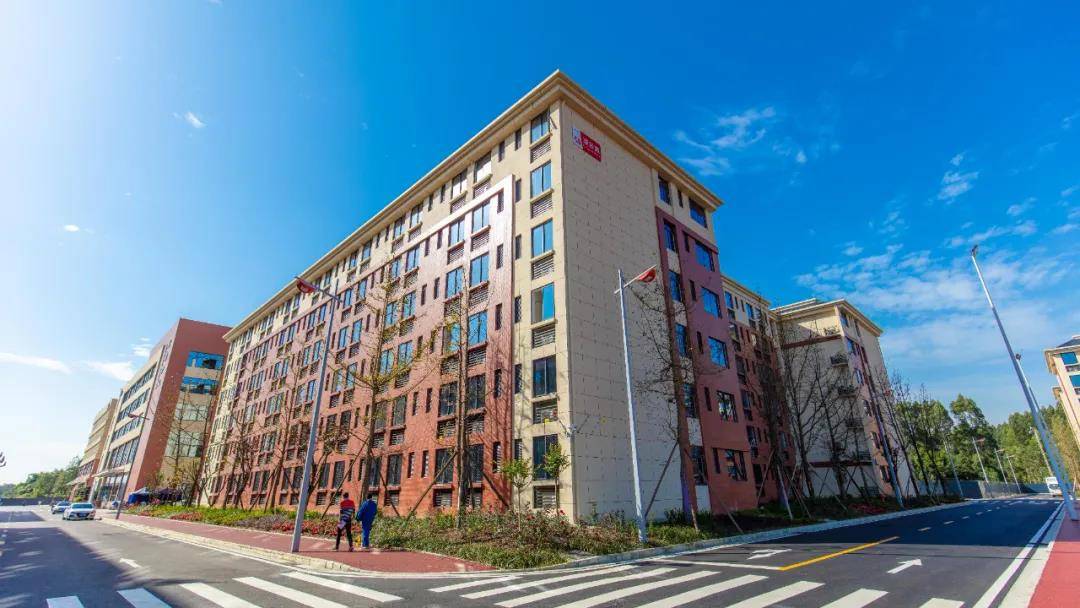 四川传媒学院2021年艺术类专业校考通知