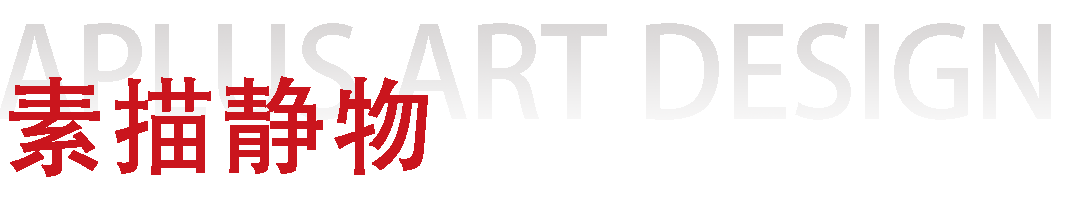 素描静物.png